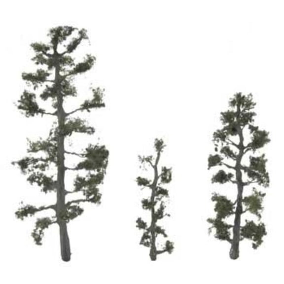 5 1/8" - 2 1/2" - 3" PREM JUNIPER 3/PK
