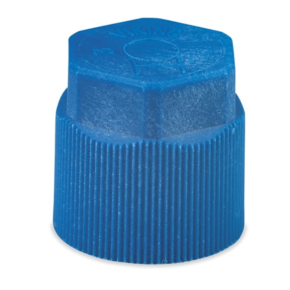 5 = 1 PACK OF 5; R134A SERVICE PORT CAP - 10MM X 1.25 - LS BLUE