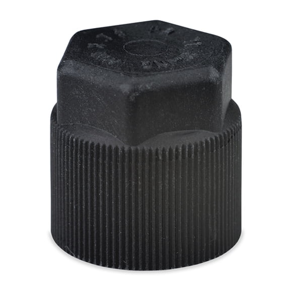 5 = 1 PACK OF 5; R134A SERVICE PORT CAP - 10MM X .75 - HS BLACK