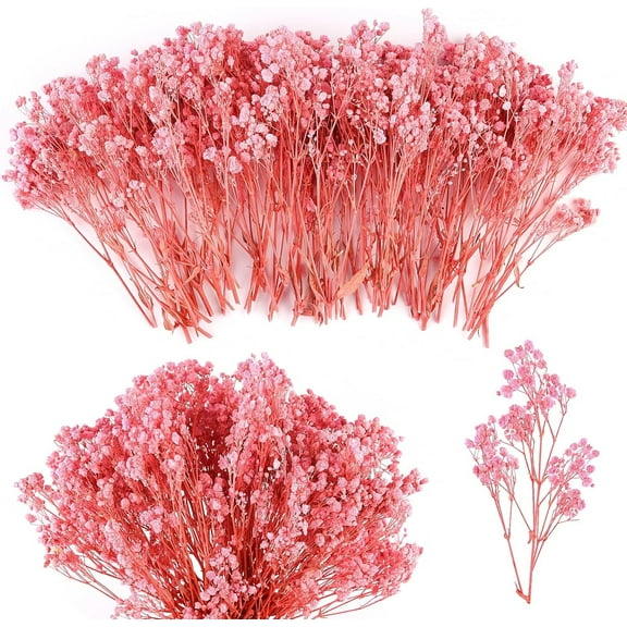 5.12inch Dried Flowers Baby's Breath Bouquet,Bexikou 10 Bouquet Pink Dry Flowers,Natural Gypsophila Branches for Home Decor, Wedding, Table Decor, DIY Wreath Floral, Dry Flowers Bulk for Vase