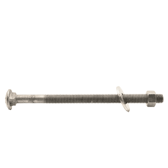 5/16"-18 x 8" Hot Dipped Galvanized Carriage Bolt w/Nuts & Flat Washers, Quantity 50 - by Fastener Depot, LLC