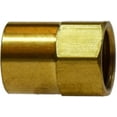 thumbnail image 1 of 5/16 X 1/8 Female Inverted Flare X FIP Adapt, Inverted Flare, Brass Fittings, 1 of 1
