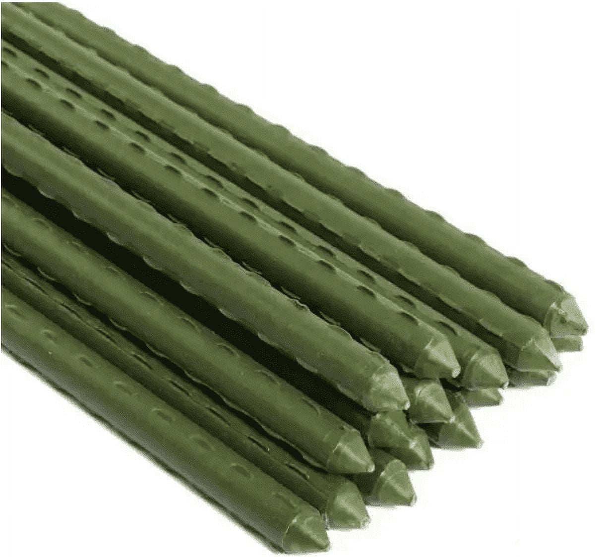 5/16 in. Dia x 30 in. H Sturdy Steel Garden Stakes Plastic Coated Plant Stakes for Climbing Plants (20-Packs)