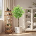 thumbnail image 1 of 5.2/5.9FT Home Artificial Ficus Tree, Faux Plant Fake Silk Ficus Tree, Lifelike Fake Potted Tree For Home Living Room Bedroom Office Warehouse Decor Indoor Outdoor, 1 of 1