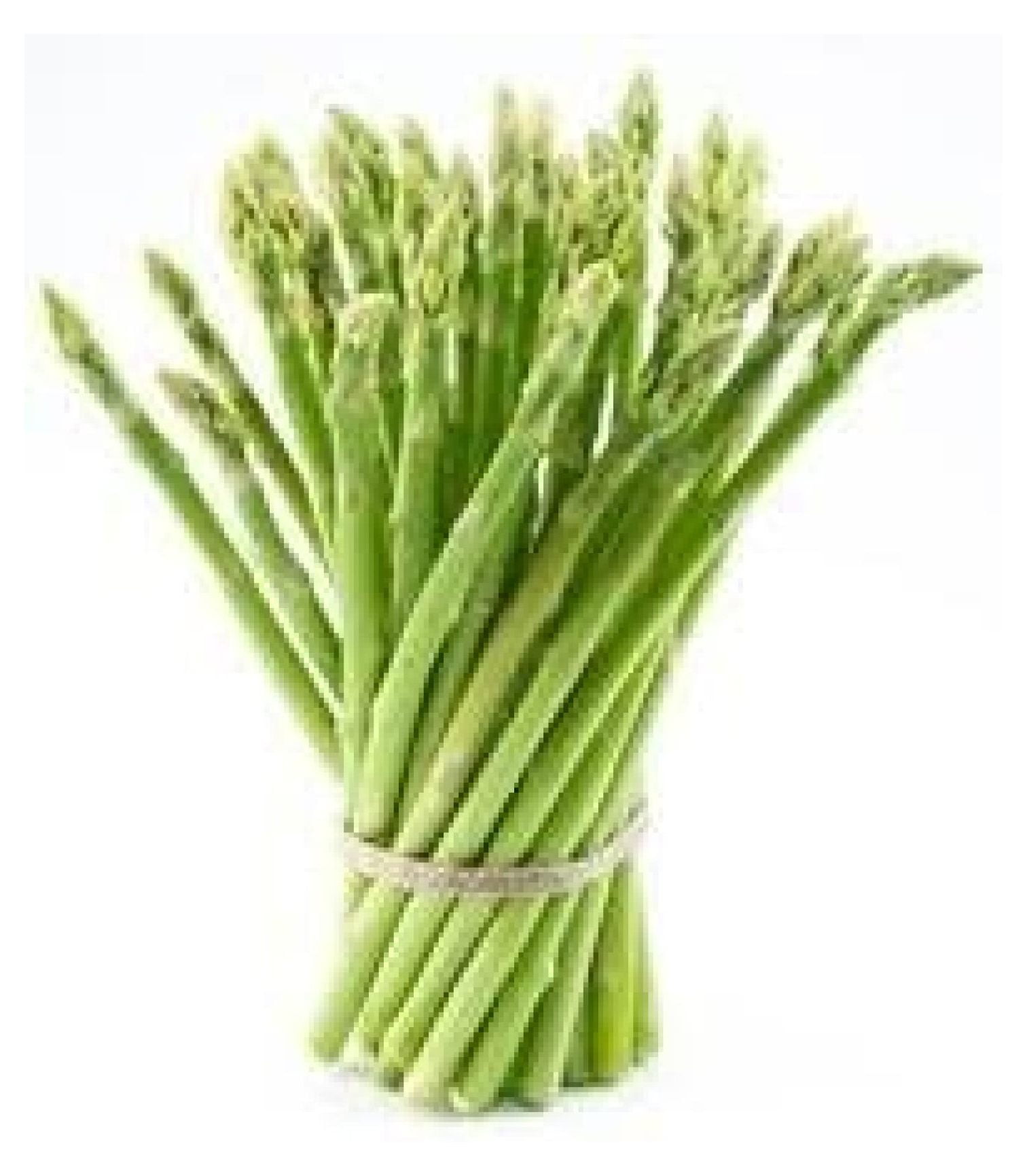 5 2Year Jersey Asparagus Plants Organic BareRoot Crowns Licensed