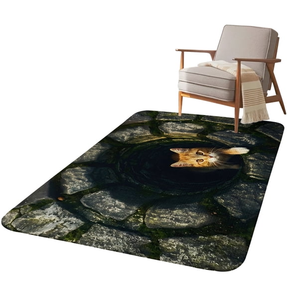 5.25'x6.56' Area Rug for Living Room, Cat Non Slip Soft Rugs for Bedroom Dining Room, Washable Low Pile Rugs Kitchen Nursery Floor Mat Throw Carpet Stone Well Darkness Rustic Mysterious