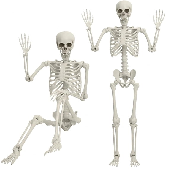 5.4FT Poseable Skeleton Prop Life Size Plastic Halloween Human Bones Skeleton Party Supplies