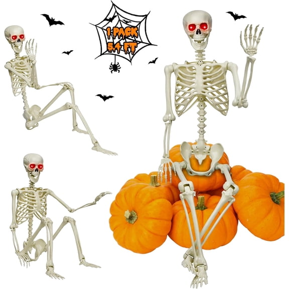 5.4Ft Life-Size Halloween Skeleton Decor - Full Body Realistic Human Bones with Posable Joints, Durable Outdoor/Indoor Poseable Skeleton Prop for Haunted House, Yard, Party Decoration (white, 5.4FT)