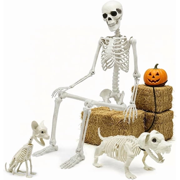 5.4ft Halloween Full Size Skeleton with Dog Cat for Haunted Party Decor | Life Like Posable Skeleton Realistic Human Plastic Bones with Animals Skeleton for Halloween Party Lawn Haunted House Decor
