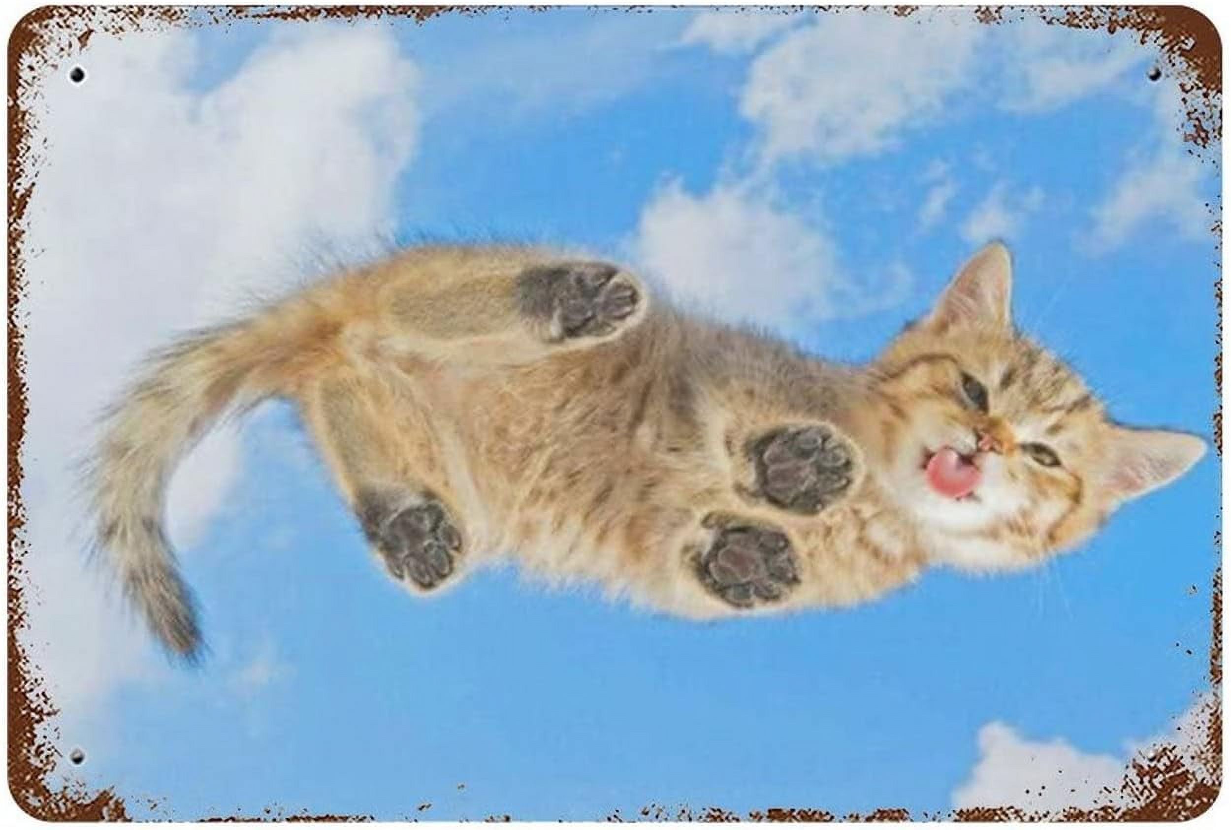 5.5×8 inch Cute cat Smile AND Blue sky Personalized Rules Wall Art