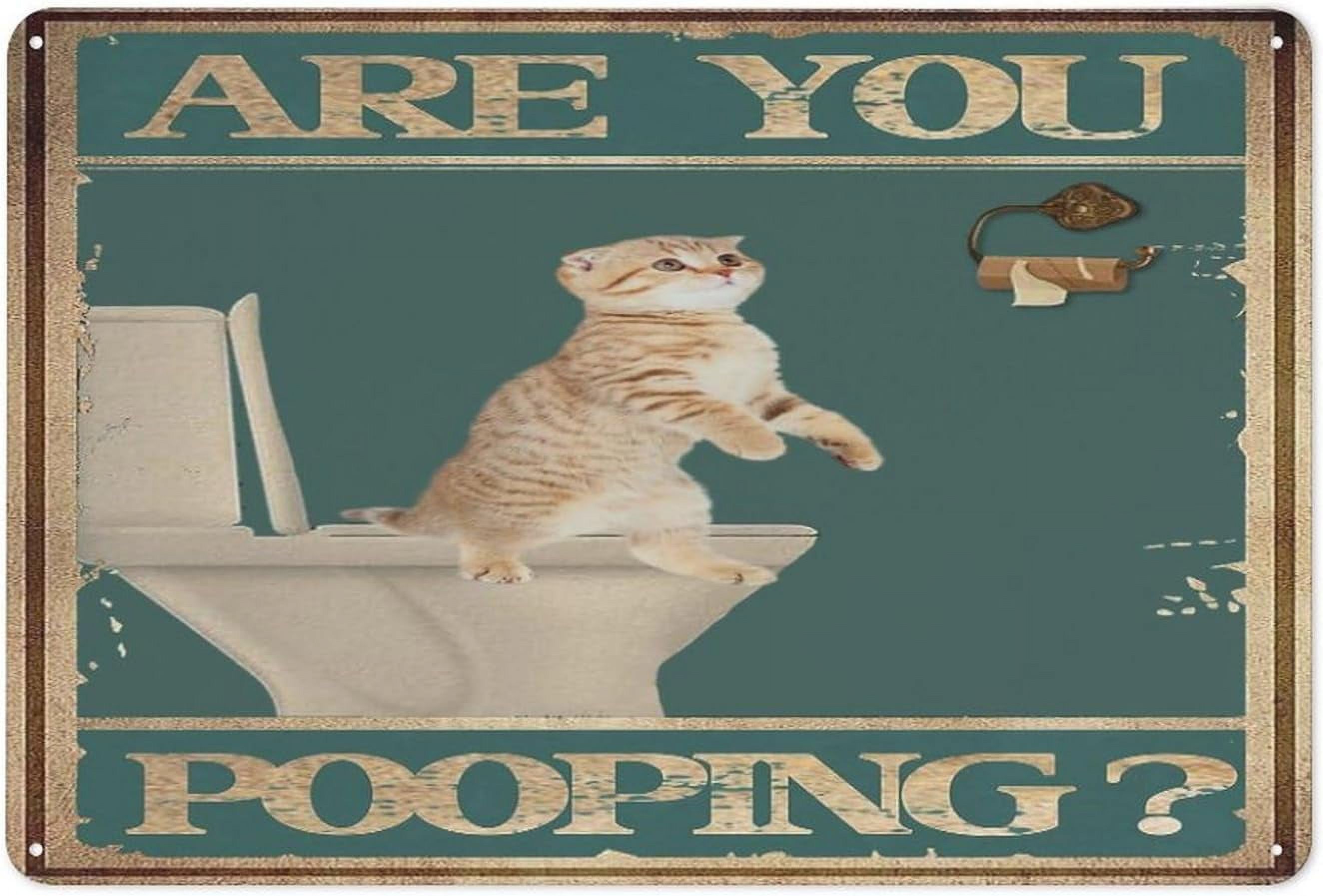 5.5×8 inch Funny Metal Signs Decor Black Cat Are You Pooping Bathroom