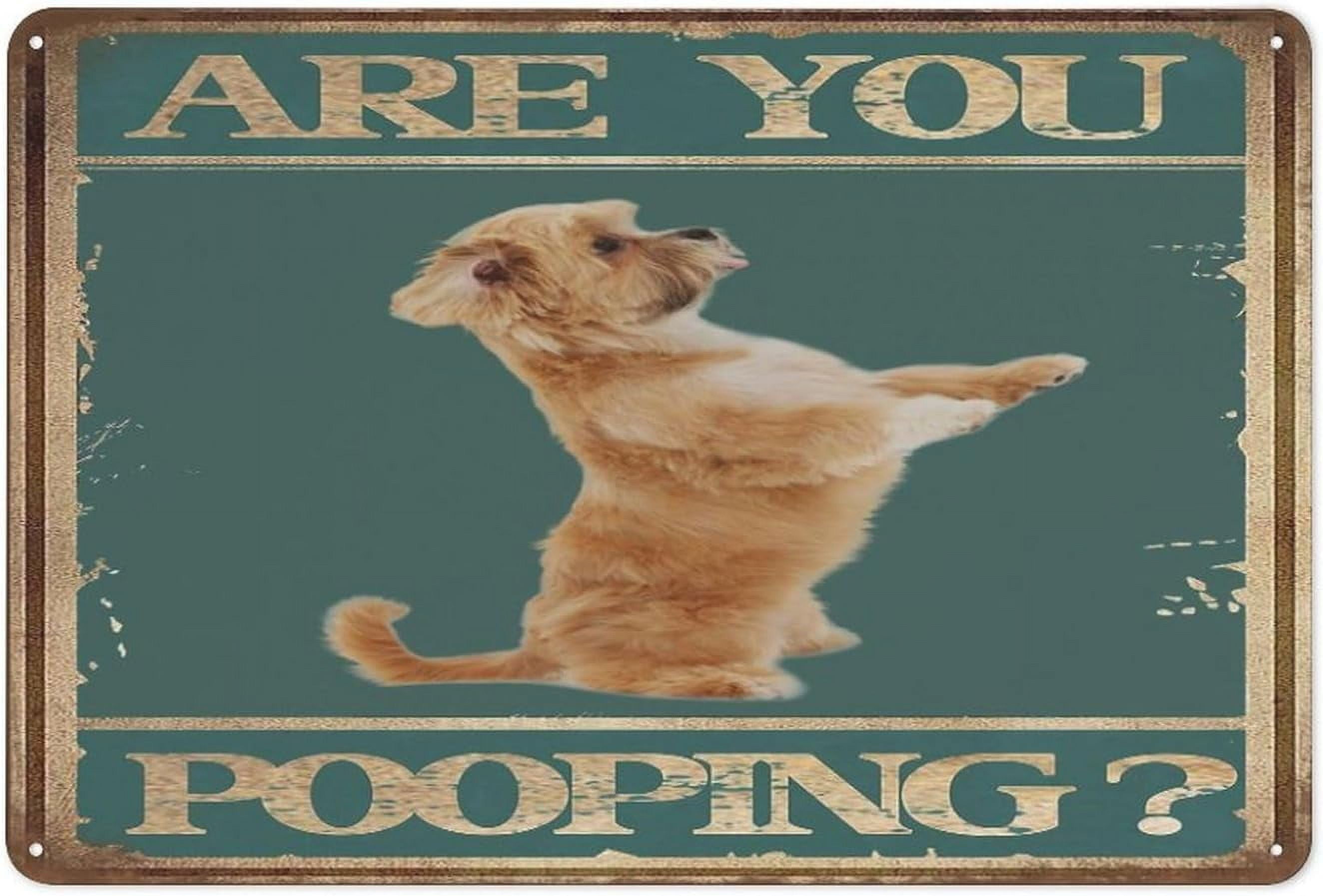 Dog Vintage Metal Tin Sign - 'Are You Pooping?' Funny Bathroom Toilet Sign, 8x12 Inch, Rustic Decor