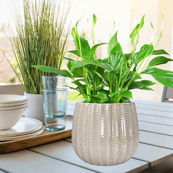 5.5" Ceramic Flower Planter, Ceramic Pot Planter, Plant Home Dcor, Gray