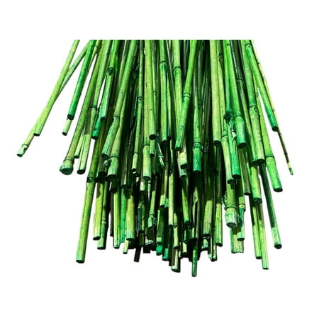 5.5 Feet Long Natural Thin Bamboo Poles Pack of 20!
