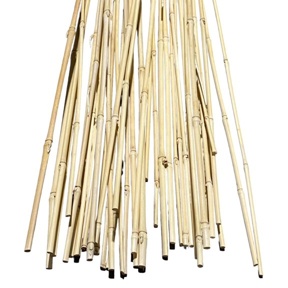 5.5 Feet Long Natural Thin Beige Bamboo Poles 0.5 in WIDE - Pack of 20