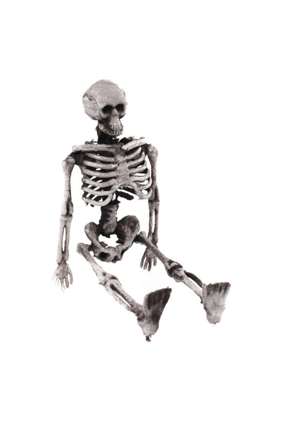 5.5" Human Skeleton Model with Metal Stand Posable Skeleton Full Body Skeleton with Movable Joints for Haunted House Props Decorations Skeleton Full Body Realistic Human Bones for Halloween