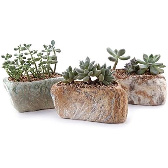 5.5 Inch Ceramic Succulent Pot Planter with Drainage Hole Set of 3, Stone Shape Rectangle Window Box Cactus Plant Containers Gift for Mom Sister Aunt Best for Home Office Table Desk Decoration