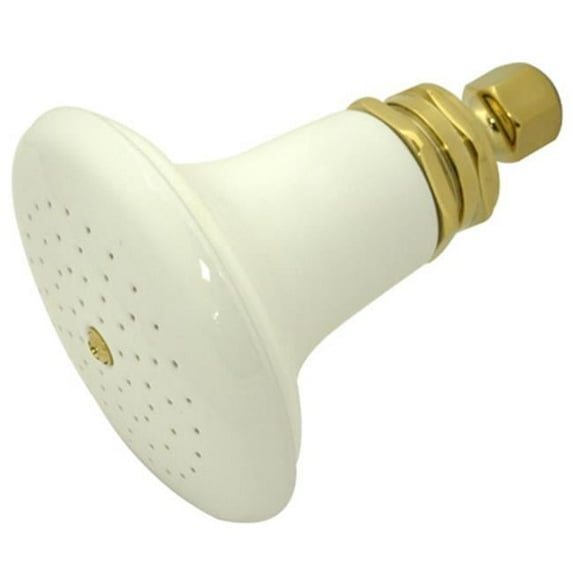 5-.5 Inch Diameter Ceramic Shower Head - Polished Brass