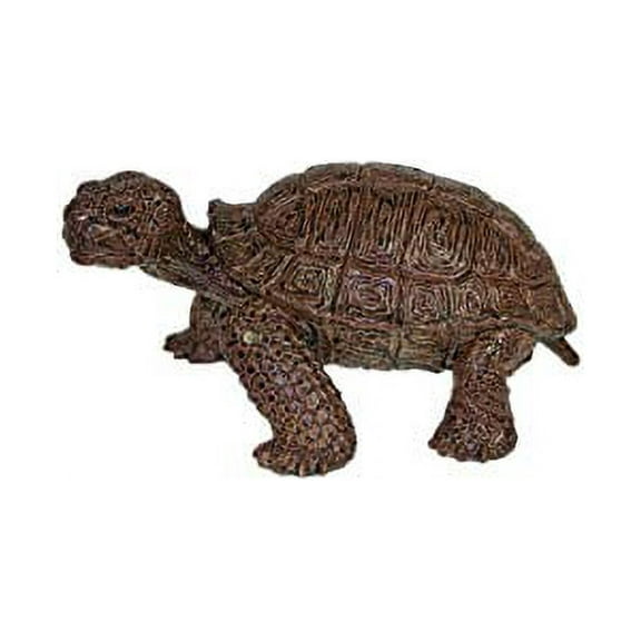 5.5" Large Tortoise