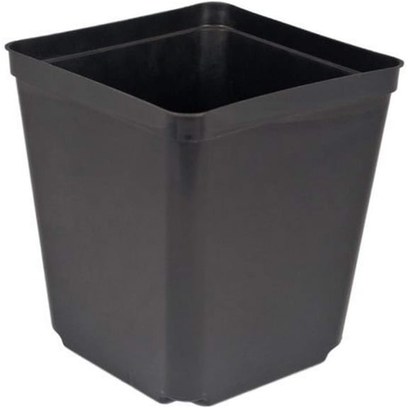 5.5" Square Nursery Pot, 2.3 quart, pack of 48