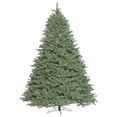 thumbnail image 1 of 5.5' x 49" Colorado Spruce Tree, 1 of 2