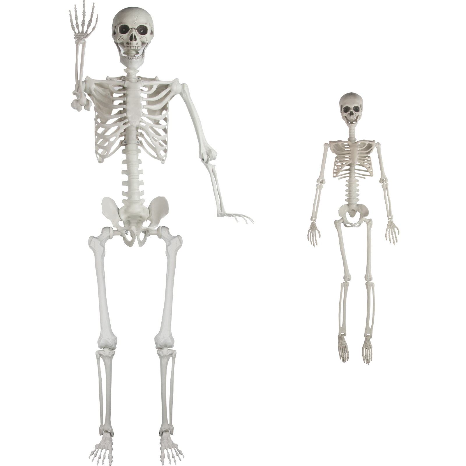 5.5FT + 3FT Halloween Skeleton Decorations Skeleton Decoration Realistic Posable Human