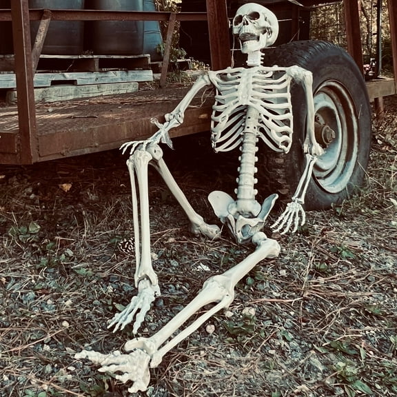 5.5ft Halloween Skeleton with Movable Joints, Realistic Bones Prop for Yard, Lawn, or Haunted House Decor
