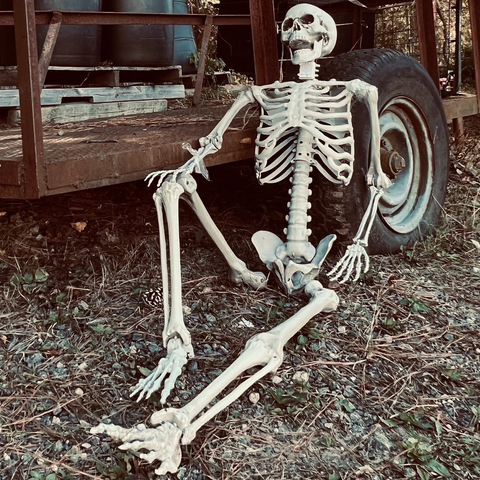 Gamexcel 5.5ft Halloween Skeleton with Movable Joints, Realistic Bones Prop for Yard, Lawn, or Haunted House Decor