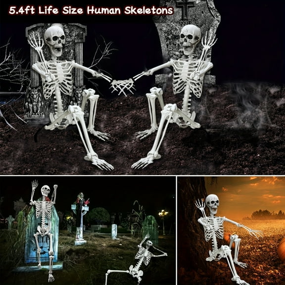 5.5ft Posable Life Size Human Adult Skeletons Plastic Human Bones with Movable Joints for Halloween Decoration, Retro Style Outdoor Home Decor, No Battery Required, Perfect for Halloween Party & Home