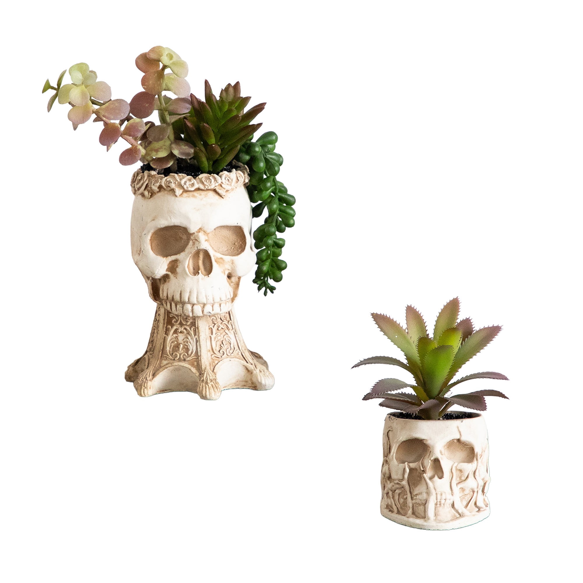 5.5in. and 9in. Artificial Halloween Succulent Garden in Skull Planter - Set of 2