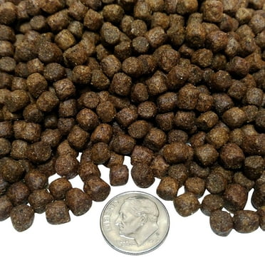 5.5mm - Floating Pellets For Cichlids, Tropical Fish & Pond Fish1/2-lb