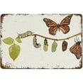 thumbnail image 1 of 5.5x8 Inch CosrKee Monarch Butterfly Life Cycle Poster Nature Watercolor Wall Art Funny Vintage Metal Tin Sign Yard Garden Wall Decor Gift Outdoor And Indoor Kitchen Home Wall Art Decores, 1 of 6