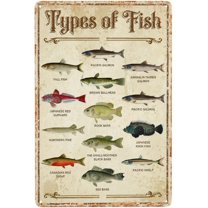 5.5x8 Inch Fish Vintage Aluminum Sign Metal Types Of Fish Poster Wall Decor-Retro Fishing Decor Metal Tin Sign For Home Lake House Decor Bedroom Kitchen, Signs Gift
