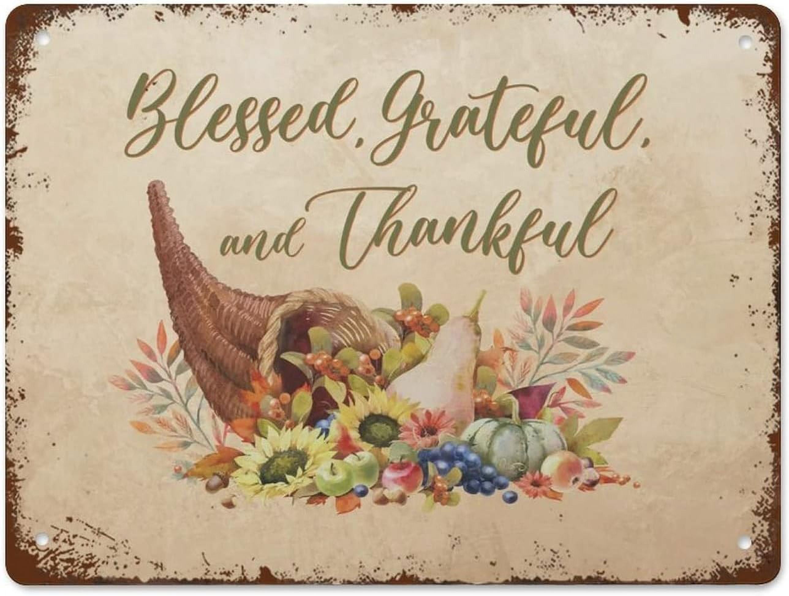 5.5x8 Inch Retro Metal Tin Sign Vintage Signs Blessed Grateful Thankful ...