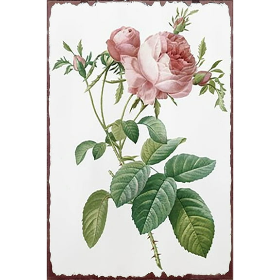 5.5x8 Inch Roses Retro Sign Pink Rose Flower With Green Leaves Wall Sign Shabby Chic Floral Vintage Botanical Holiday Decor Home Accessories For Farmhouse Bedroom Nursery Kitchen Garden