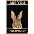 thumbnail image 1 of 5.5x8 Inch Tin Metal Signs Vintage Funny Bunny Easter Eggs are You Pooping Signs, Funny Tin Signs Bathroom Restroom Wall Toilet Decor Tin Sign, 1 of 5