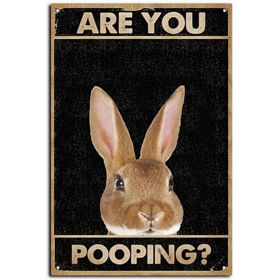 5.5x8 Inch Tin Metal Signs Vintage Funny Bunny Easter Eggs are You Pooping Signs, Funny Tin Signs Bathroom Restroom Wall Toilet Decor Tin Sign
