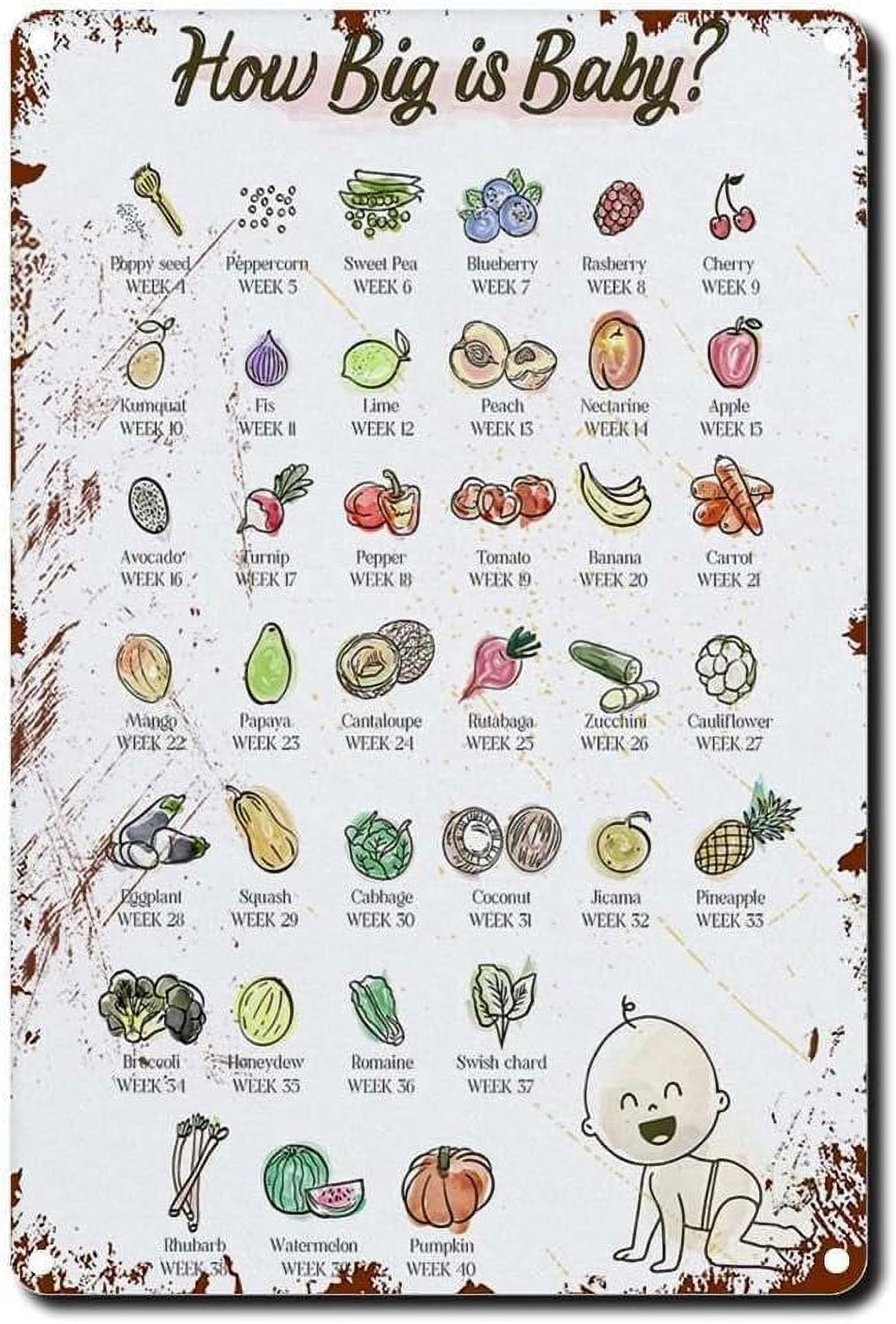 5.5x8 Inch Tin Sign How Big Baby Fruit Chart Pregnancy Education Wall
