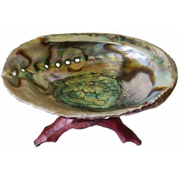 5"- 6" Abalone Shell incense burner with stand | Trending Now