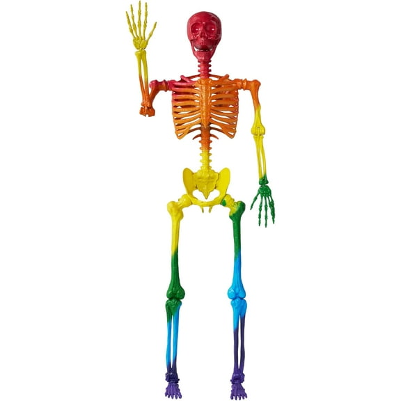 5.6 FT Halloween Posable Life Size Skeleton, Full Body Realistic Bones with Movable Joints, Rainbow Color Giant Skeletons for Halloween Decoration Outdoor, Haunted House Prop, Spooky Scene Party