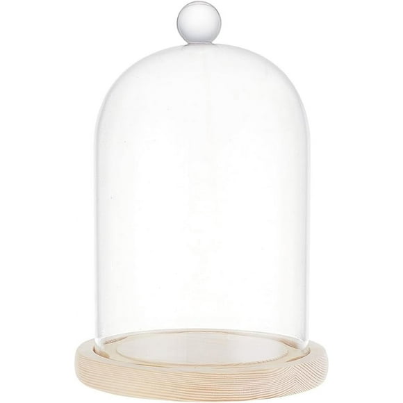 5.6x8.5 Glass Display Dome Inch Cloche Dome with Base Clear Dustproof Dome with Handle Bell Jar Centerpiece Display Case