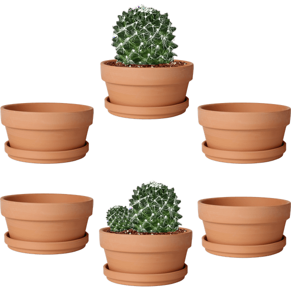 5.7 Inch Terracotta Shallow Succulent Pot - 6 Pack Terra Cotta Clay Pots with Saucer, Cacuts Terra-Cotta Indoor and Outdoor Planters with Drainage Hole