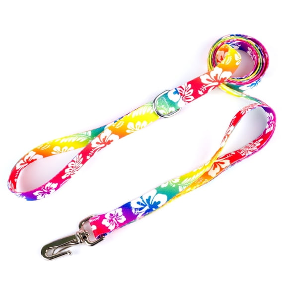 Country Brook Petz® 5/8 Inch Deluxe Hawaiian Rainbow Dog Leash, 6 Foot