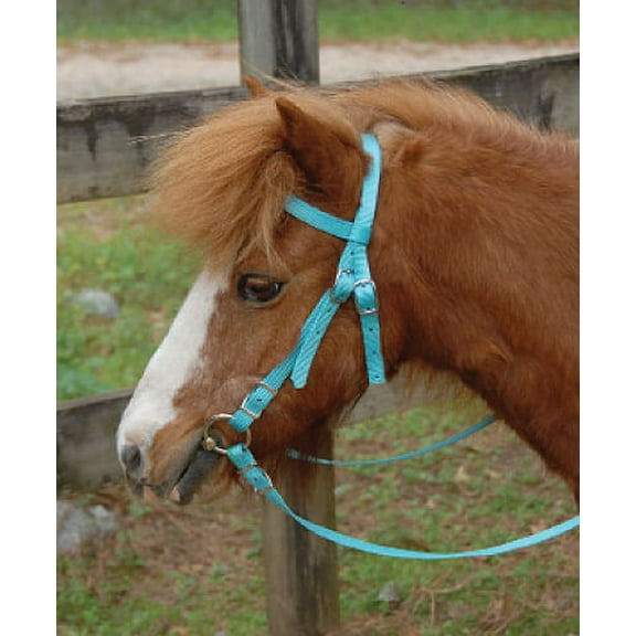 5/8" Mini Headstall with Bit & Reins Color: Pink