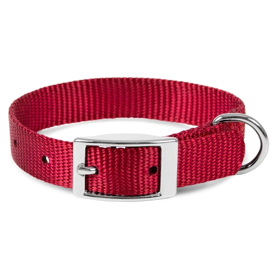 Jeffers Solid Web Nylon Dog Collar with Nickel Plated Hardware, 5/8"Wx10"L - Adjustable Durable Nylon Pet Collar for Small to Medium Dog, Perfect for Walking, Training, Travel, & Outdoor - Red