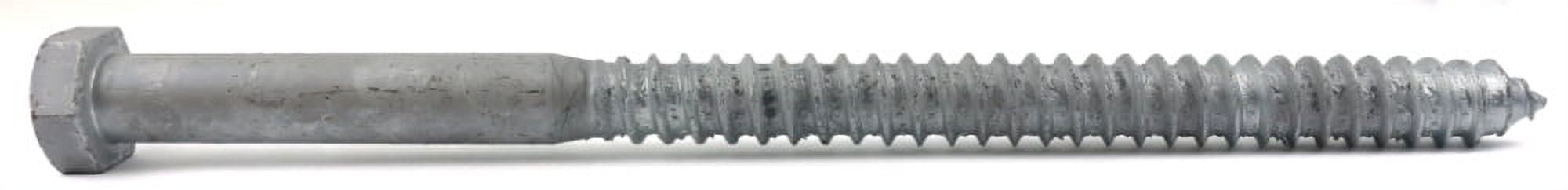 5/8" x 12" Lag Screws / Steel / Hot Dip Galvanized - 25 Piece Carton