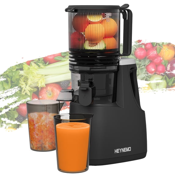 5.9" Wide Feed Chute Cold Press Juicer for Whole Vegetable & Fruit, 250W Slow Masticating Juicer Machines with with Dual-Layer Strainer