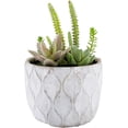 thumbnail image 1 of 5.9 X 7.9 Inch Artificial Succulent Arrangement in Concrete Planter - Light Gray Round Fake Plant for Table, Shelf, or Centerpiece Decor, 1 of 3
