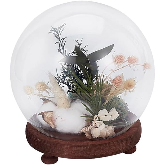 5.9 inch Round Glass Cloche Ball Jar Dome with Wooden Base Clear Glass Display Pedestals for Centerpieces Plants Rocks Decorations