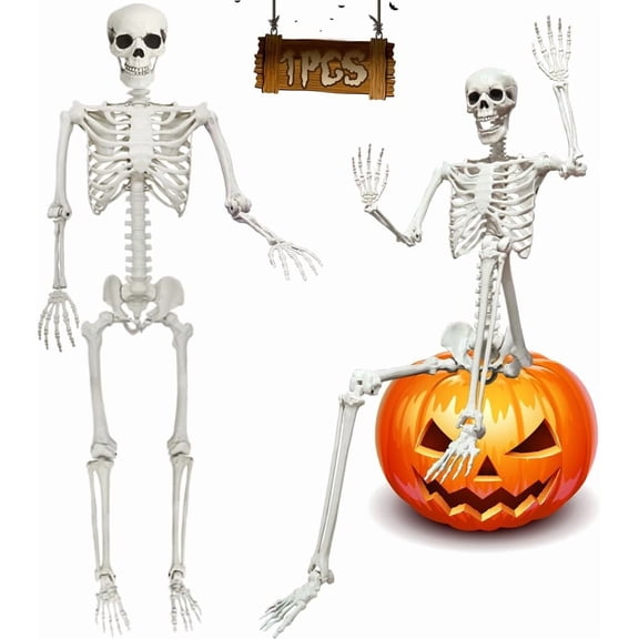 5.9FT Human Skeleton with Movable Joints, Poseable for Halloween